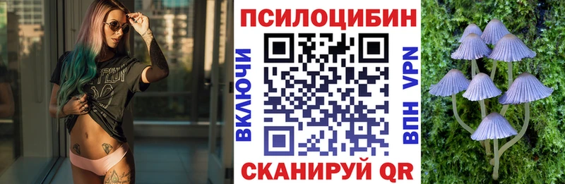 Псилоцибиновые грибы прущие грибы  цены наркотик  KRAKEN зеркало  Зеленоградск 